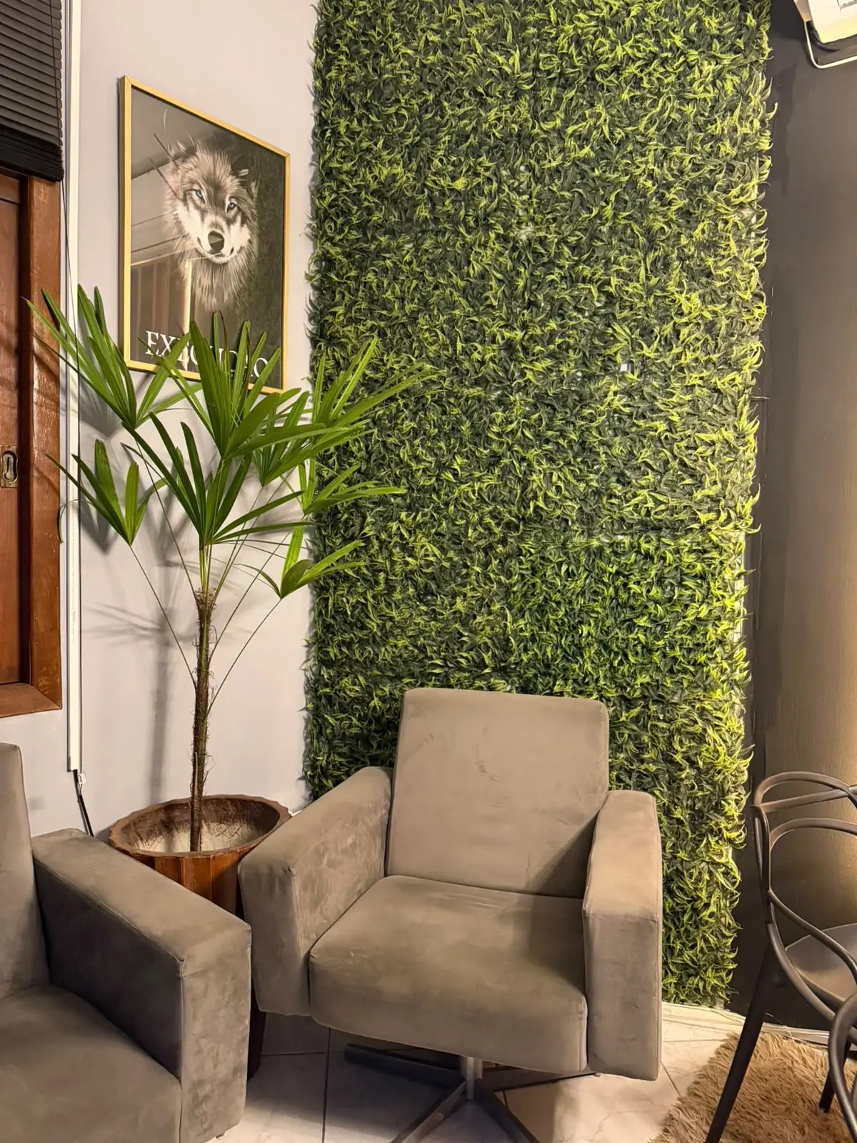 Ambiente com jardim vertical para gravação de conteúdo na Inside New